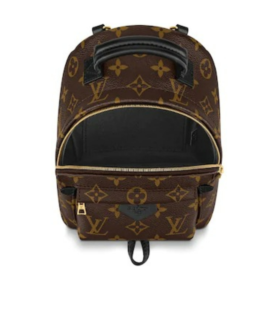 Pre-owned Louis Vuitton 2020 Mini Palm Springs Backpack In Brown