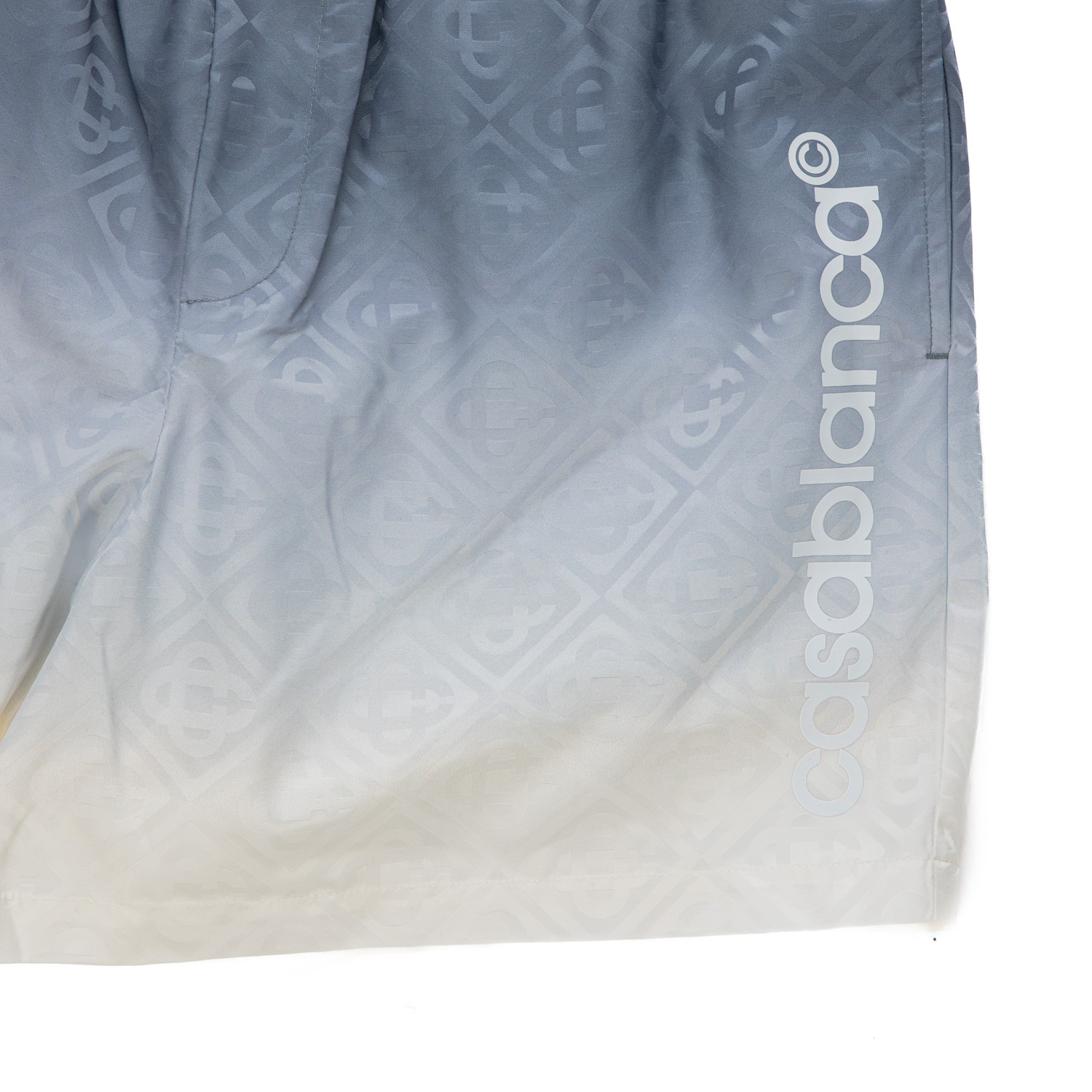 Casablanca Printed Swim Shorts In Gray