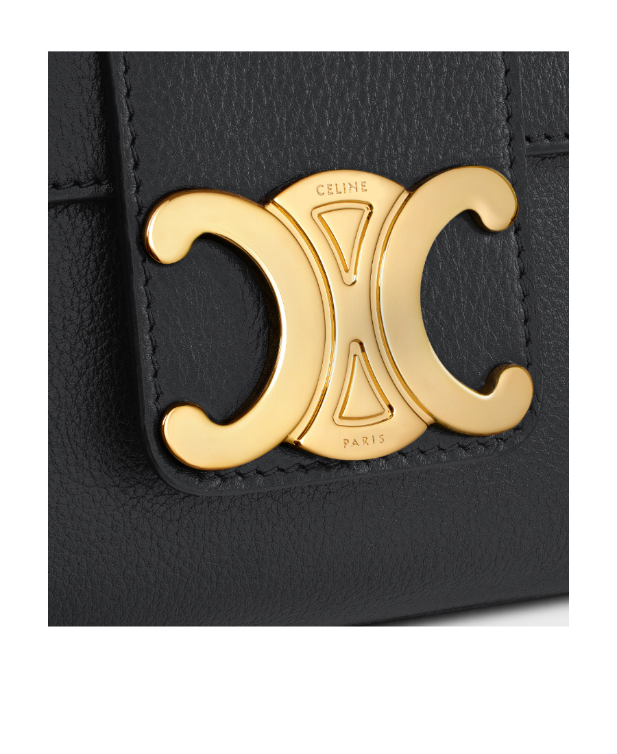 Celine Women's Victoire Medium Bag In Brown