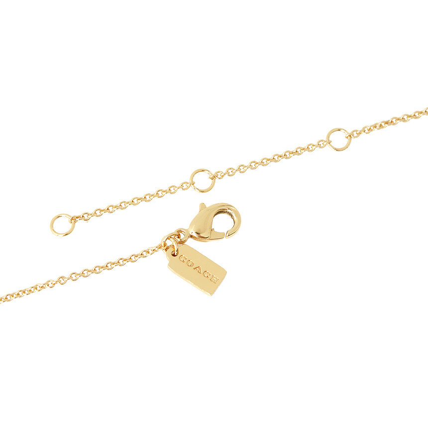 Coach Ecklace Earring Set