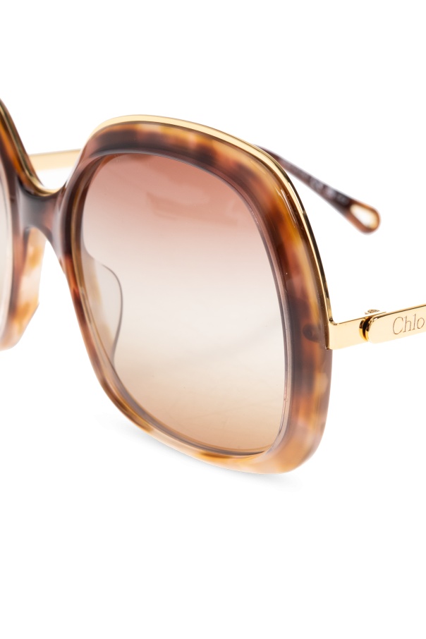 Chloé Full Frame Sunglasses In Brown