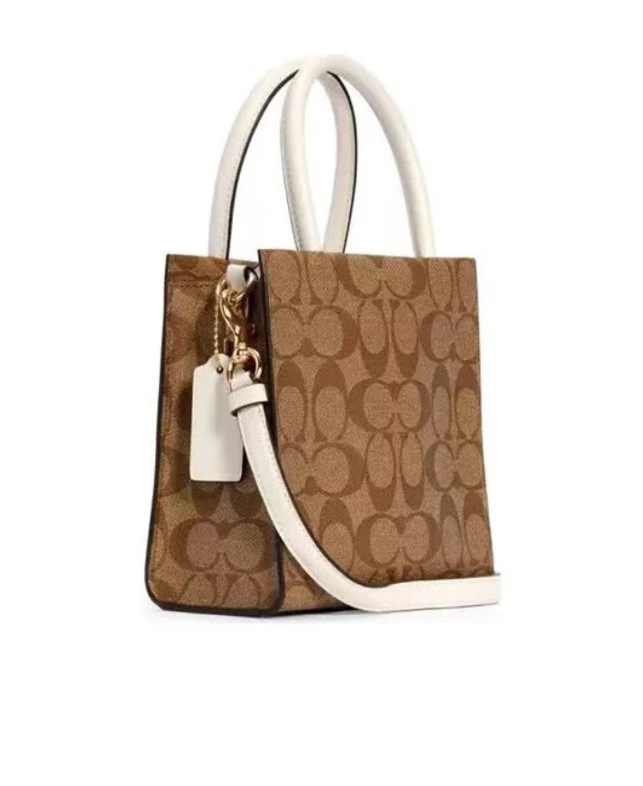 Coach Mini Cally Skew Cross Package In Brown