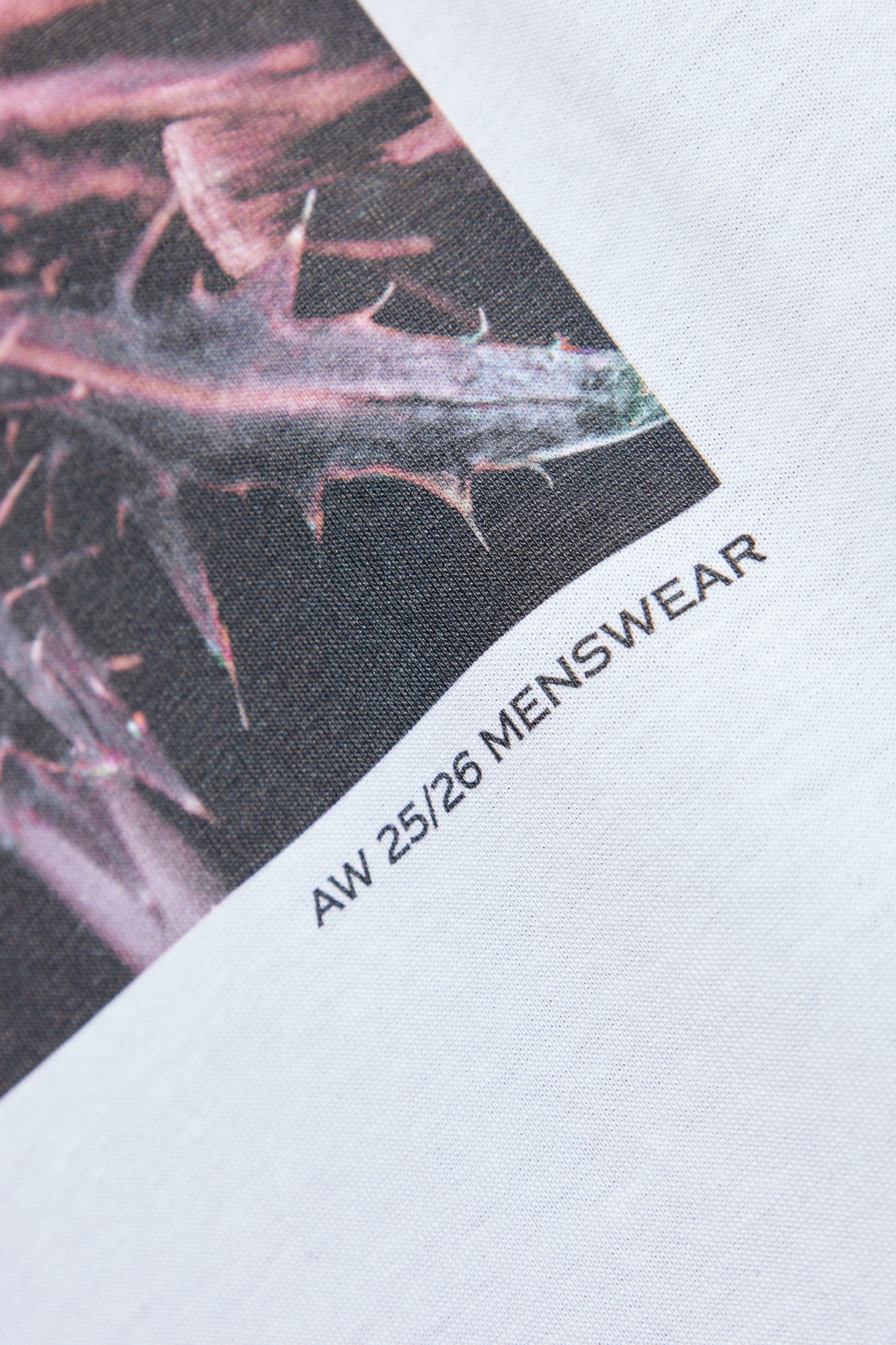 Dries Van Noten Graphic Print Crew Neck Short Sleeve Top In White