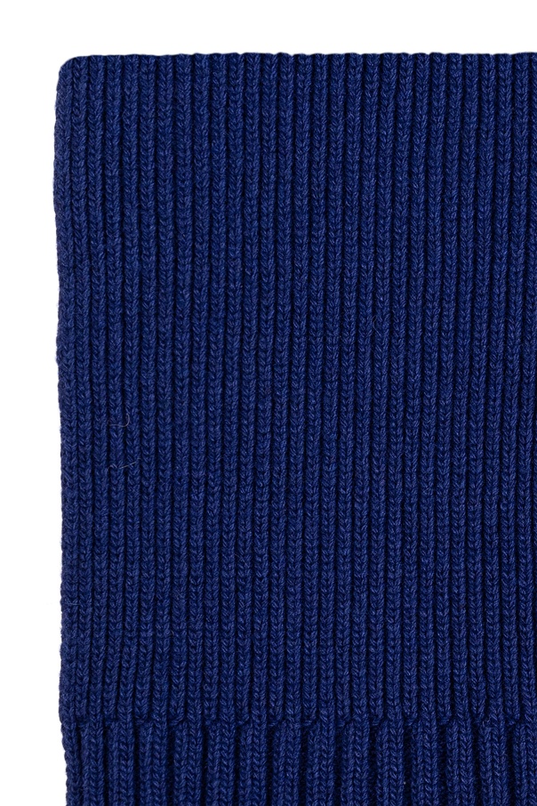Stone Island Compass-badge Scarf In Blue