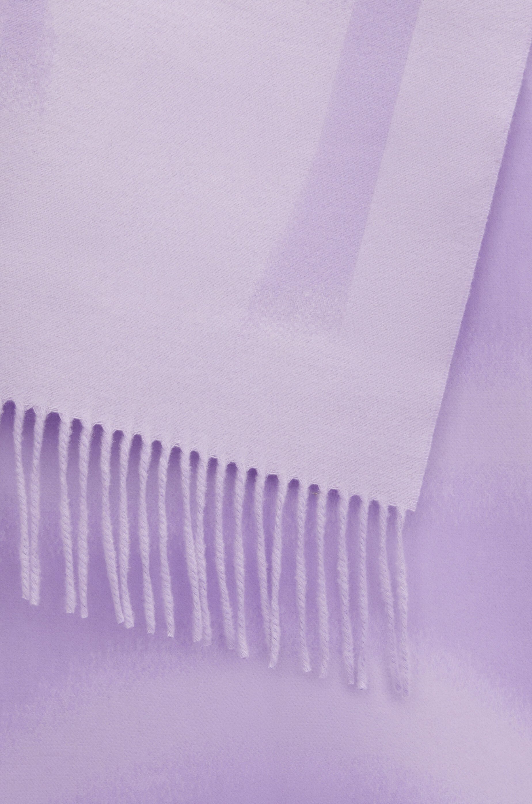 Loewe Wool And Cashmere Scarf In Purple