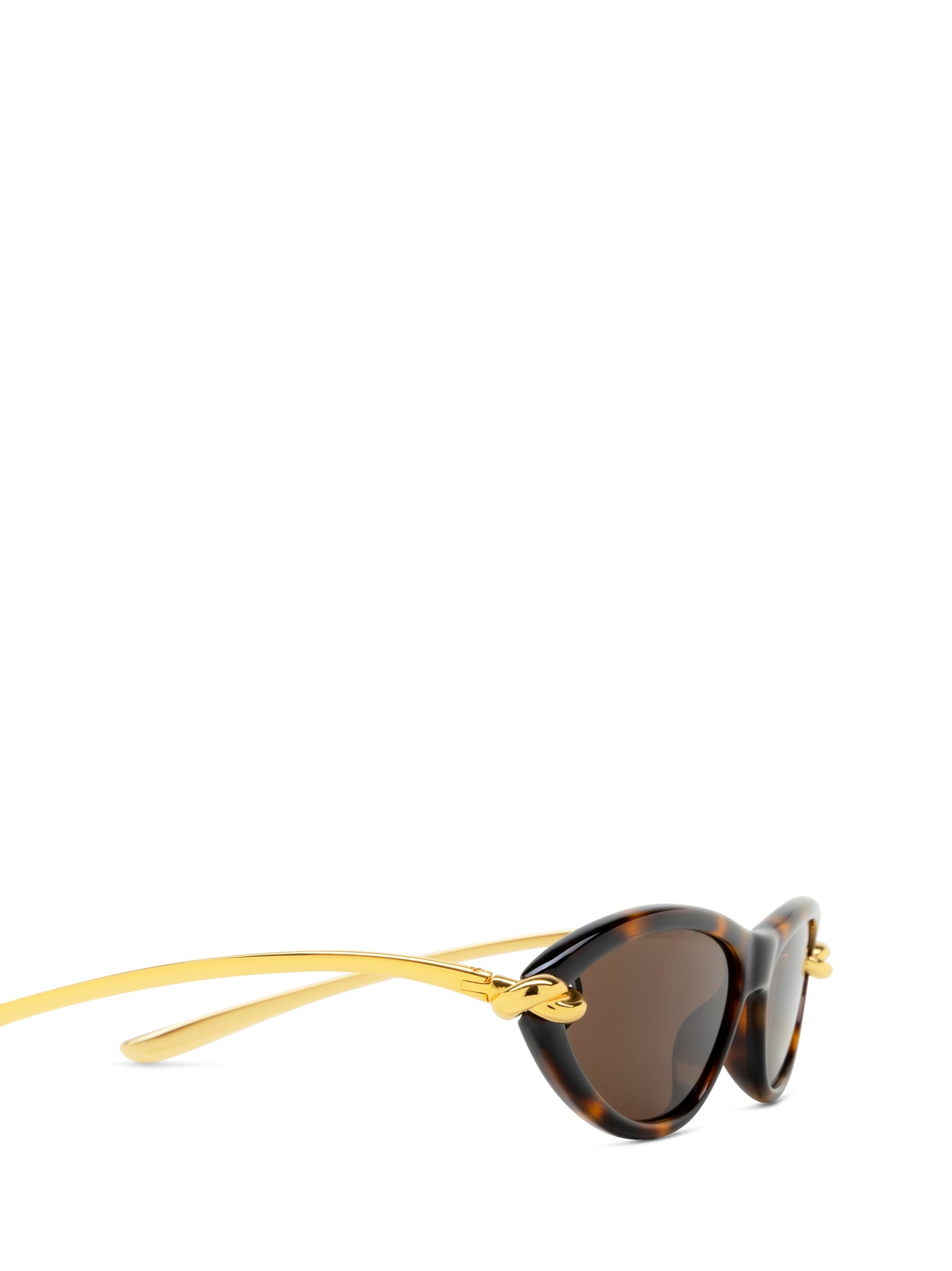 Bottega Veneta Cat-eye Sunglasses In Brown