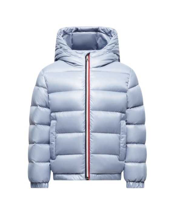 Moncler New Aubert Hooded Down Jacket