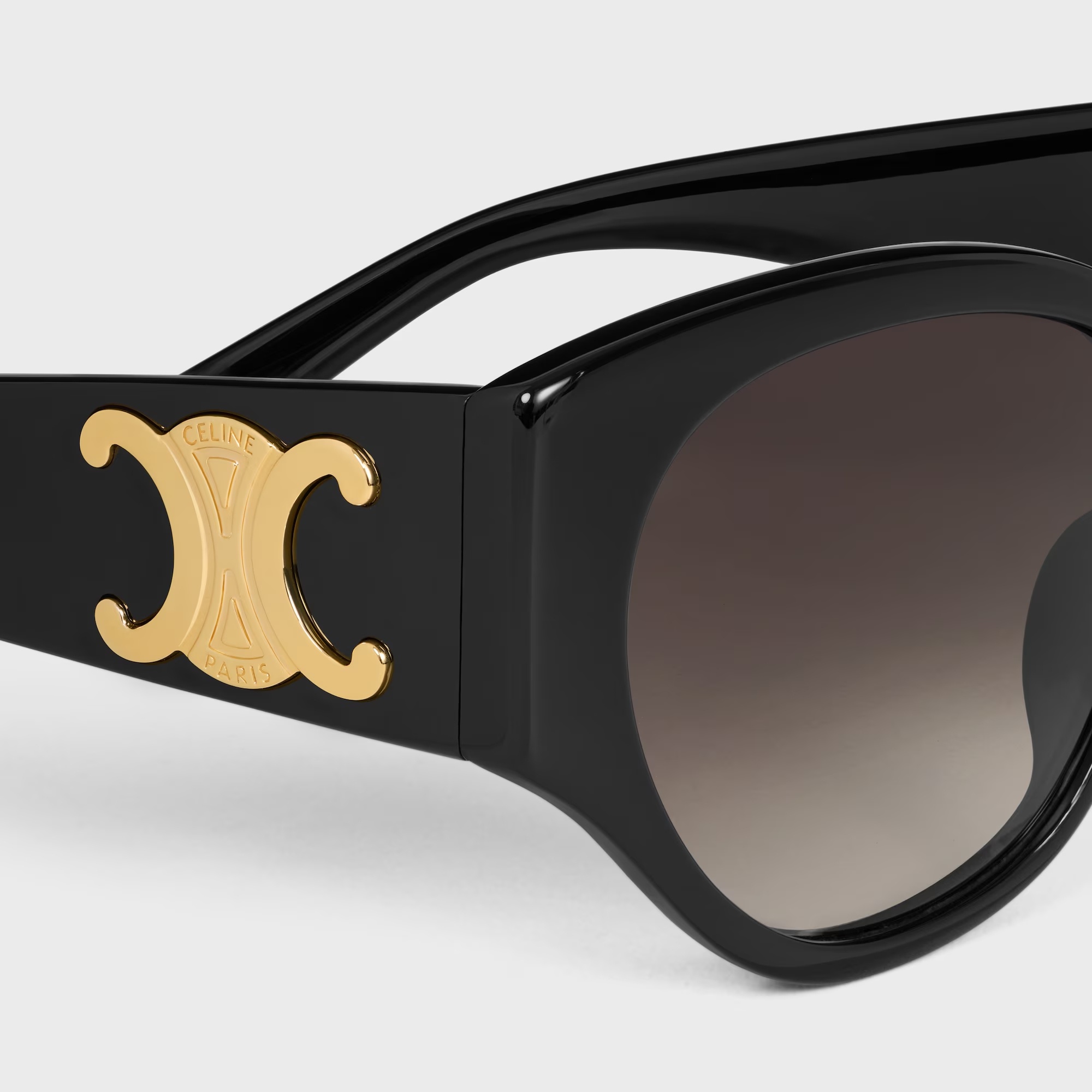 Celine Triomphe Xl 03 Sunglasses In Acetate In Brown
