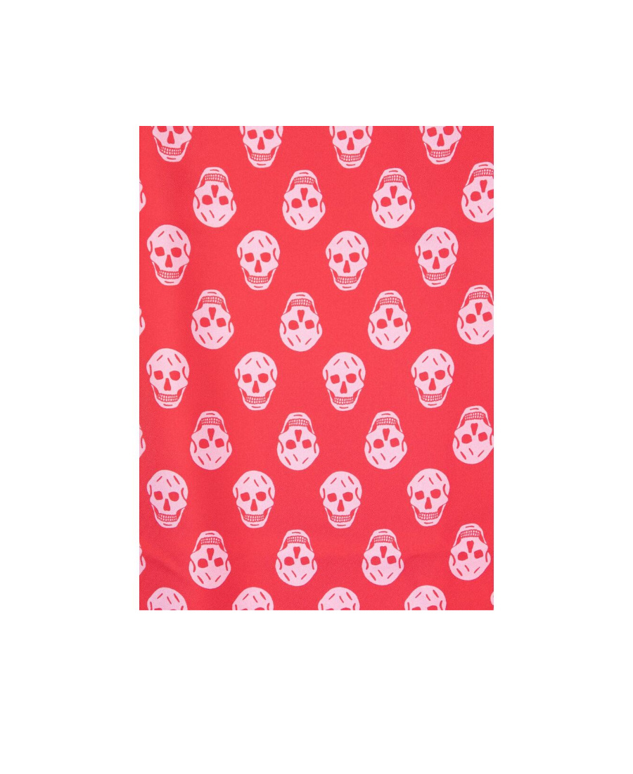 Alexander Mcqueen Biker Skull Printed Silk Scarf In Red