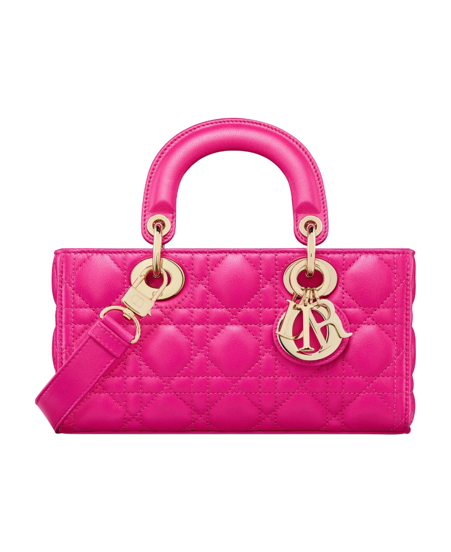 Dior Small Ladyd-joy Bag