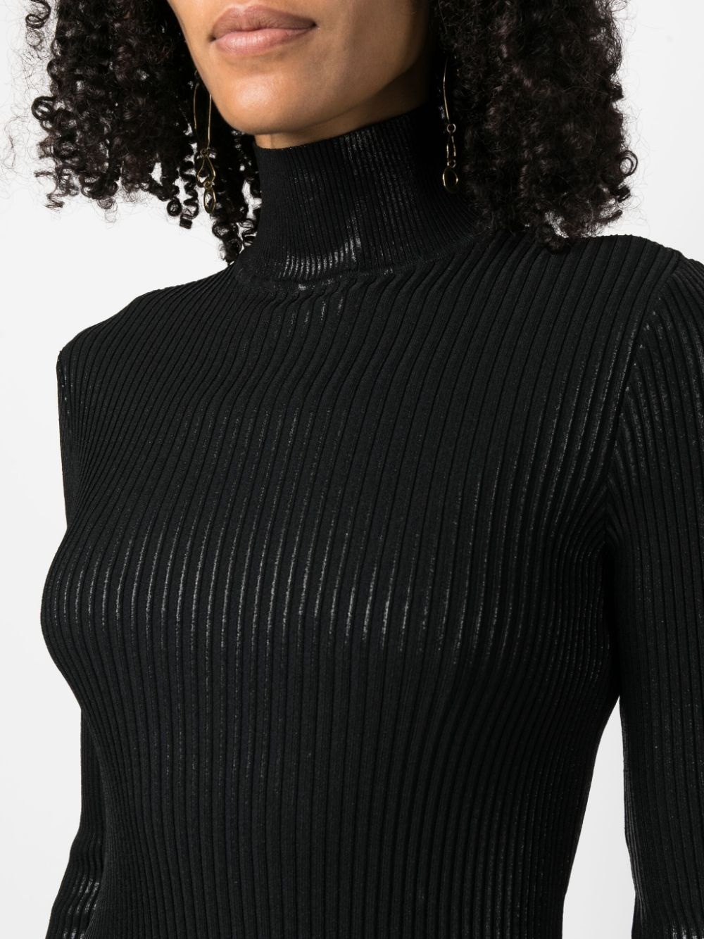 Alberta Ferretti High-neck Ribbed-knit Jumper In Black