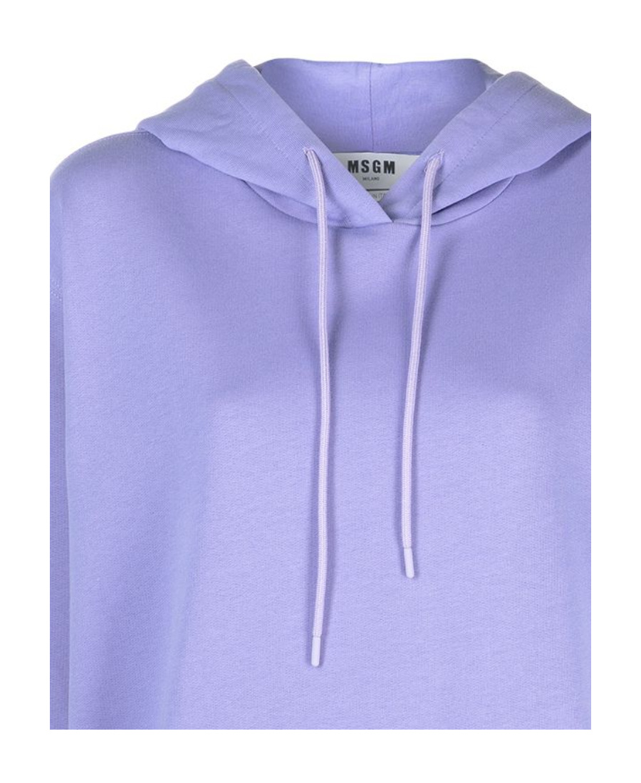 Msgm Logo Hooded Sweater In Blue
