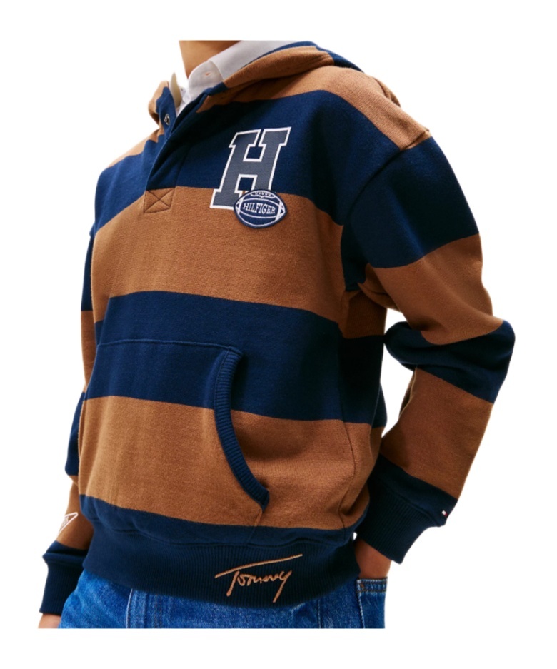 Tommy Hilfiger Striped Hoodie In Multi