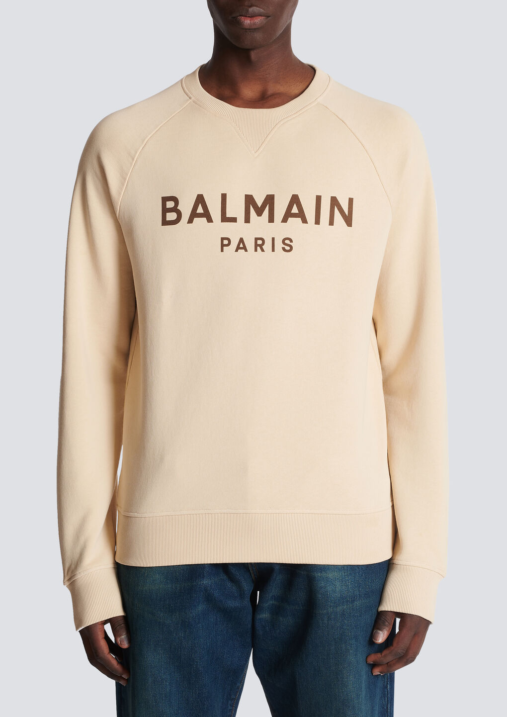 Shop Balmain Paris Printed Sweatshirt In Nude