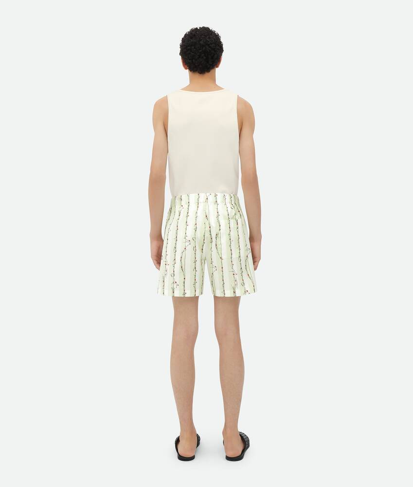 Bottega Veneta Printed Striped Shorts In Green