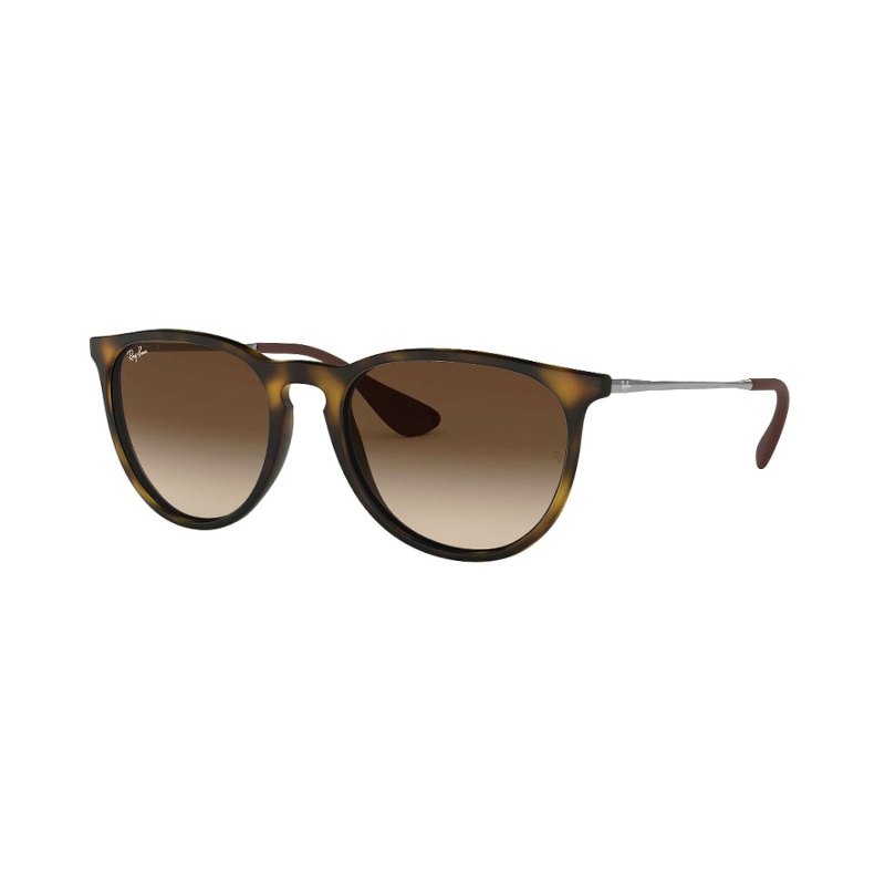 Ray Ban Ray-ban Erika Classic Sunglasses In Green