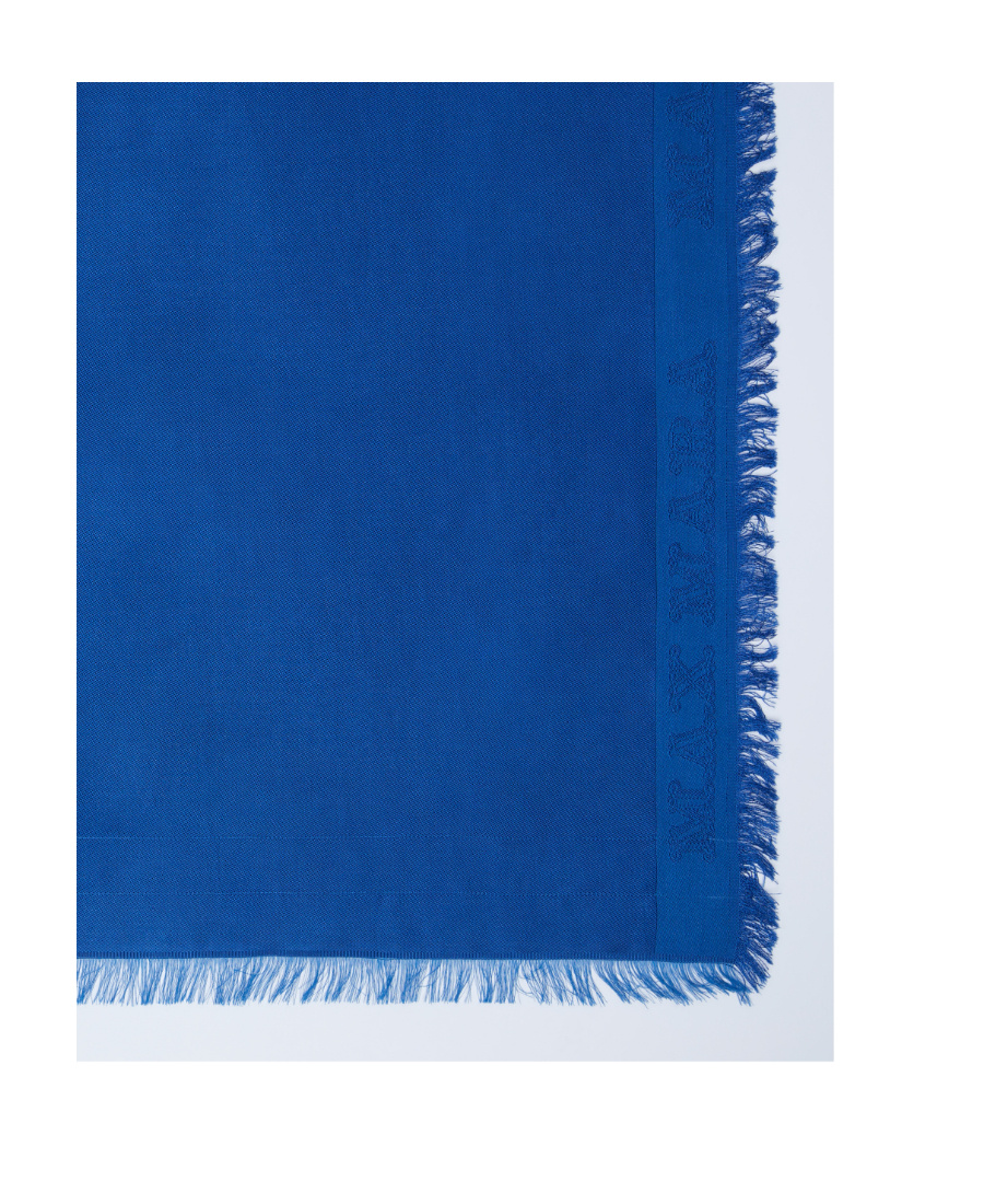 Max Mara Fringed Scarf In Blue