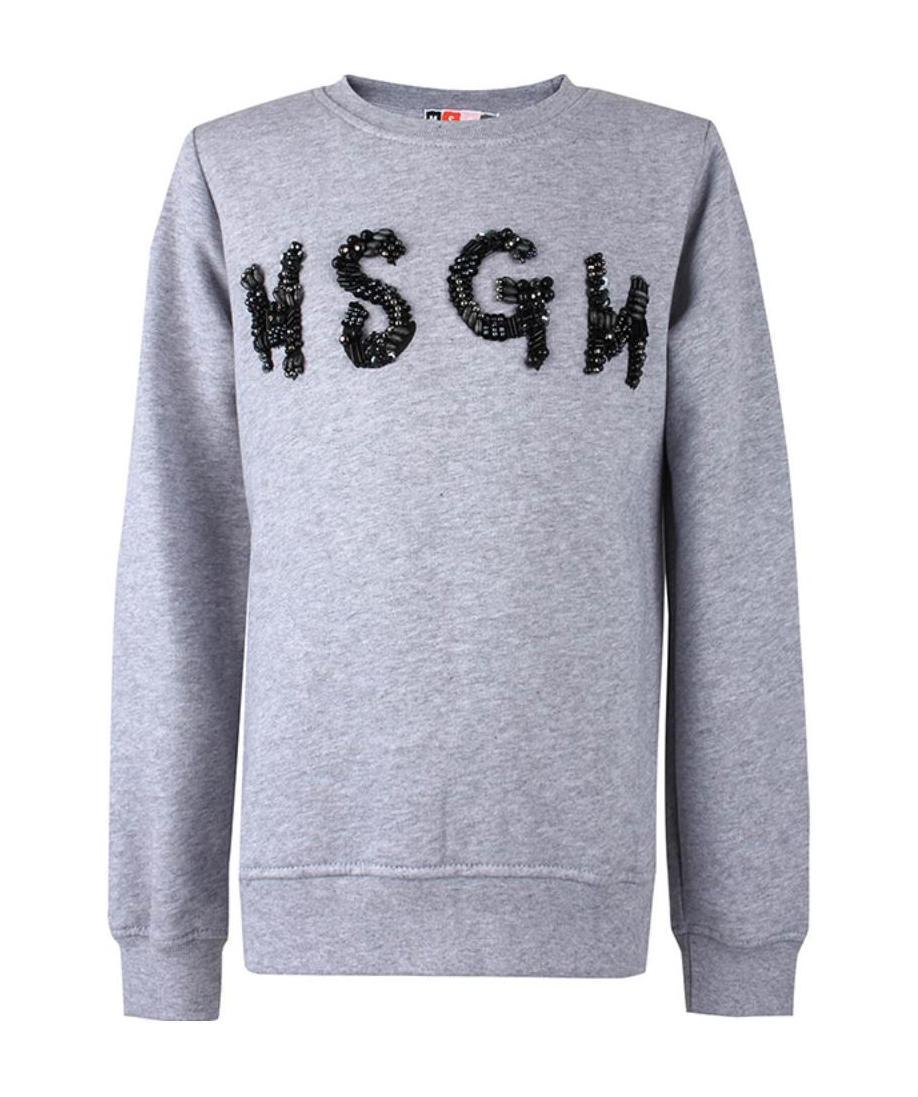 Msgm Logo Hoodie In Gray