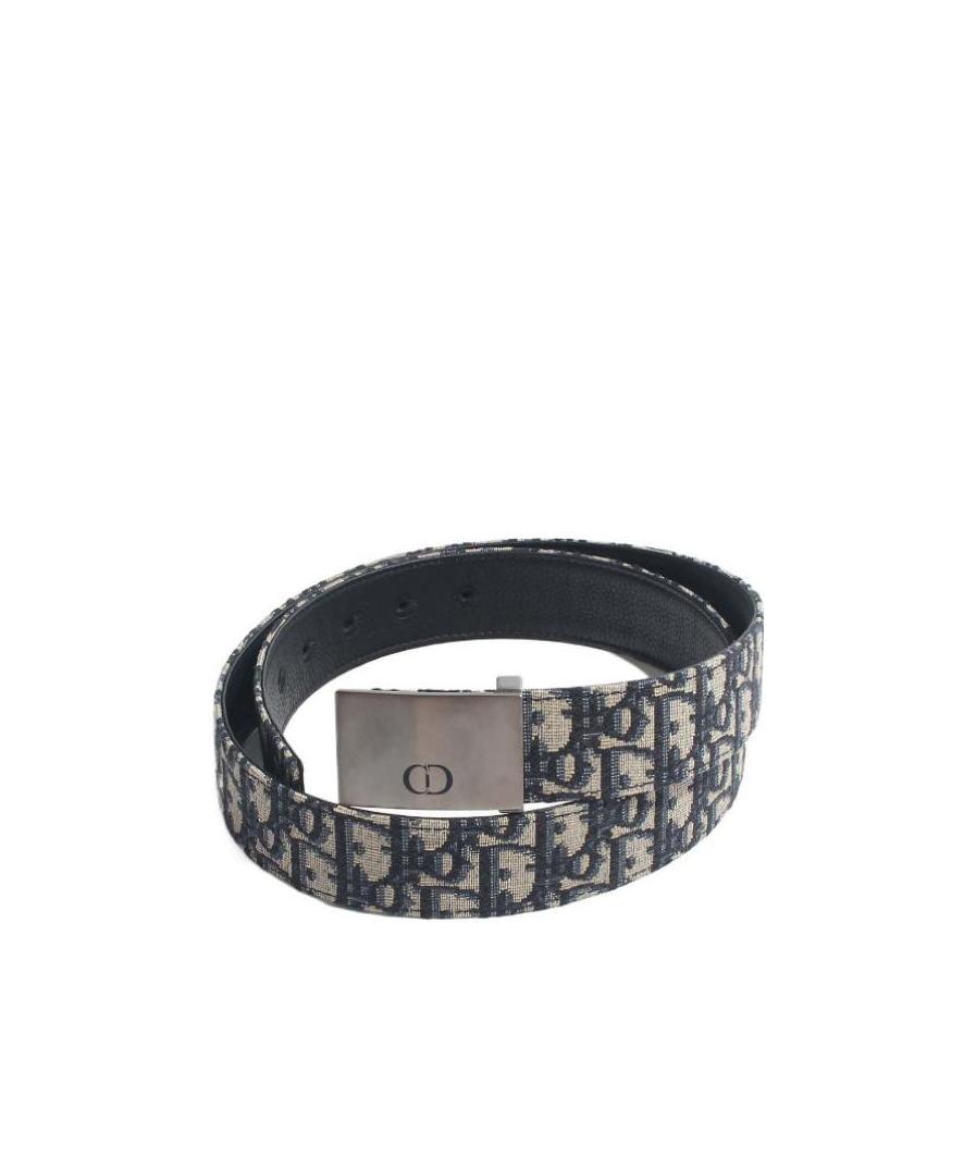 Dior Multicolor Logo Belt In Brown