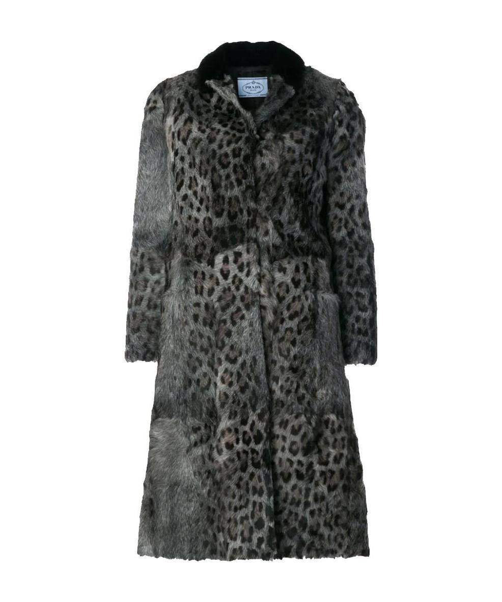 Prada Leopard Print Coat In Gray