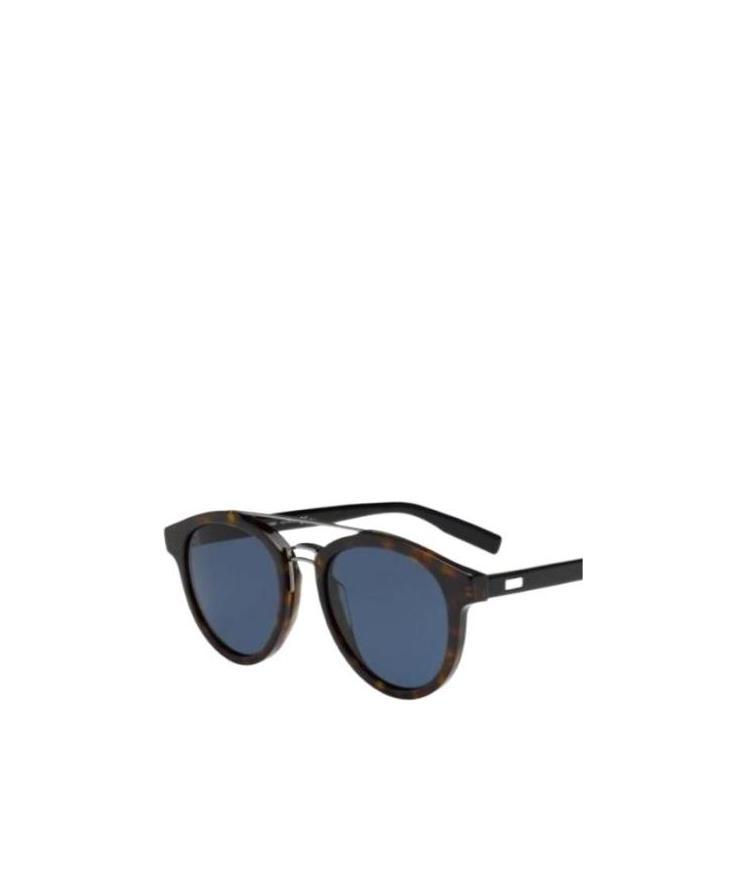 Dior Logo Sunglasses In Gray