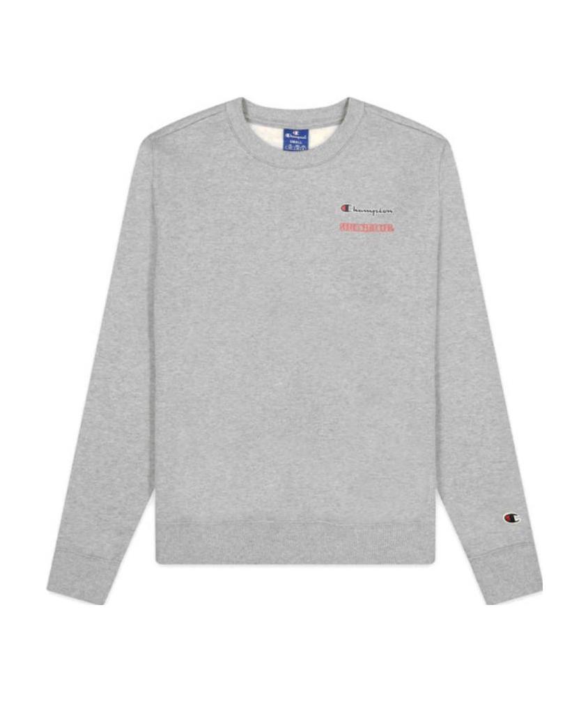 Champion Printed Round-neck Sweater In Gray
