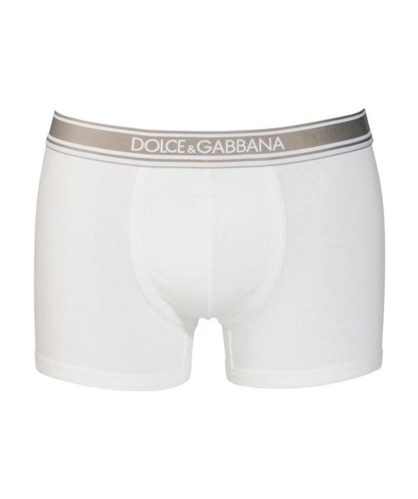 DOLCE & GABBANA LOGO DETAIL PANTIES