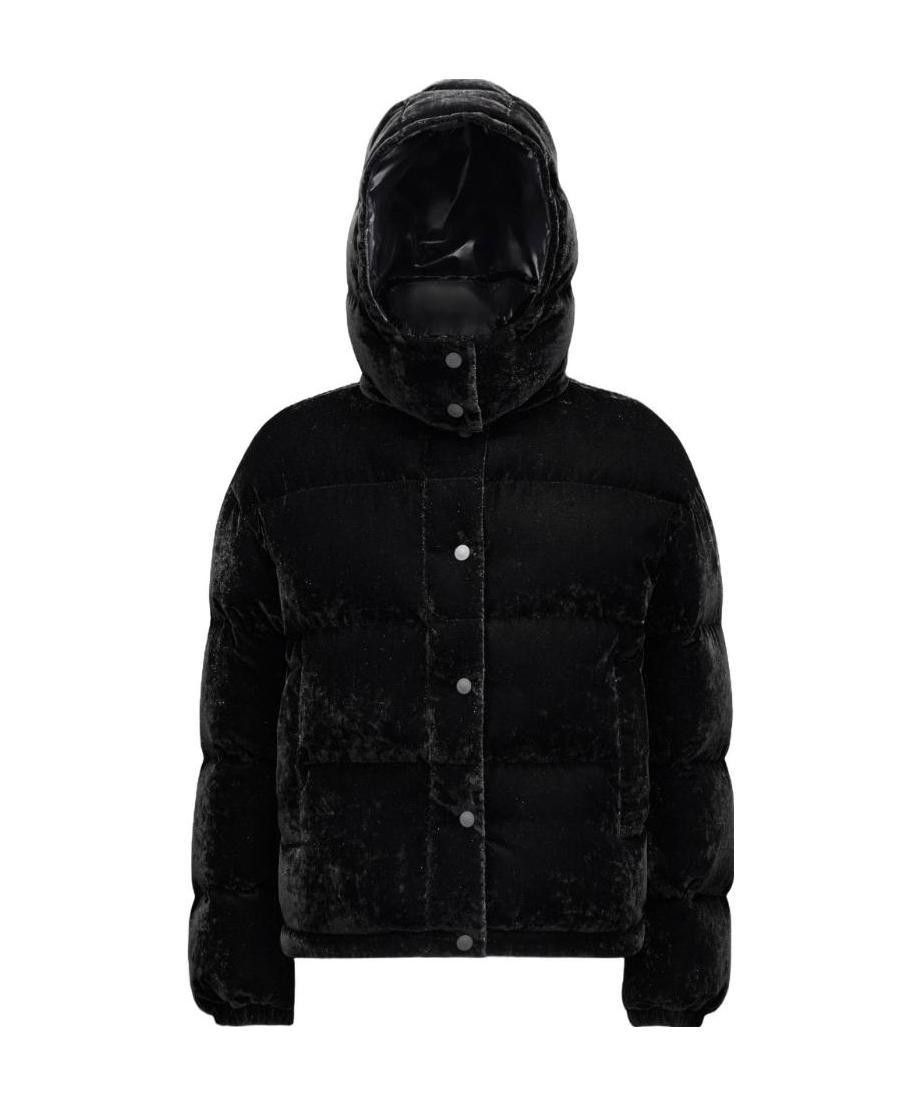 Moncler Monc Daos Pffr Jkt Vlvt Hdd W Tnl Log In Black