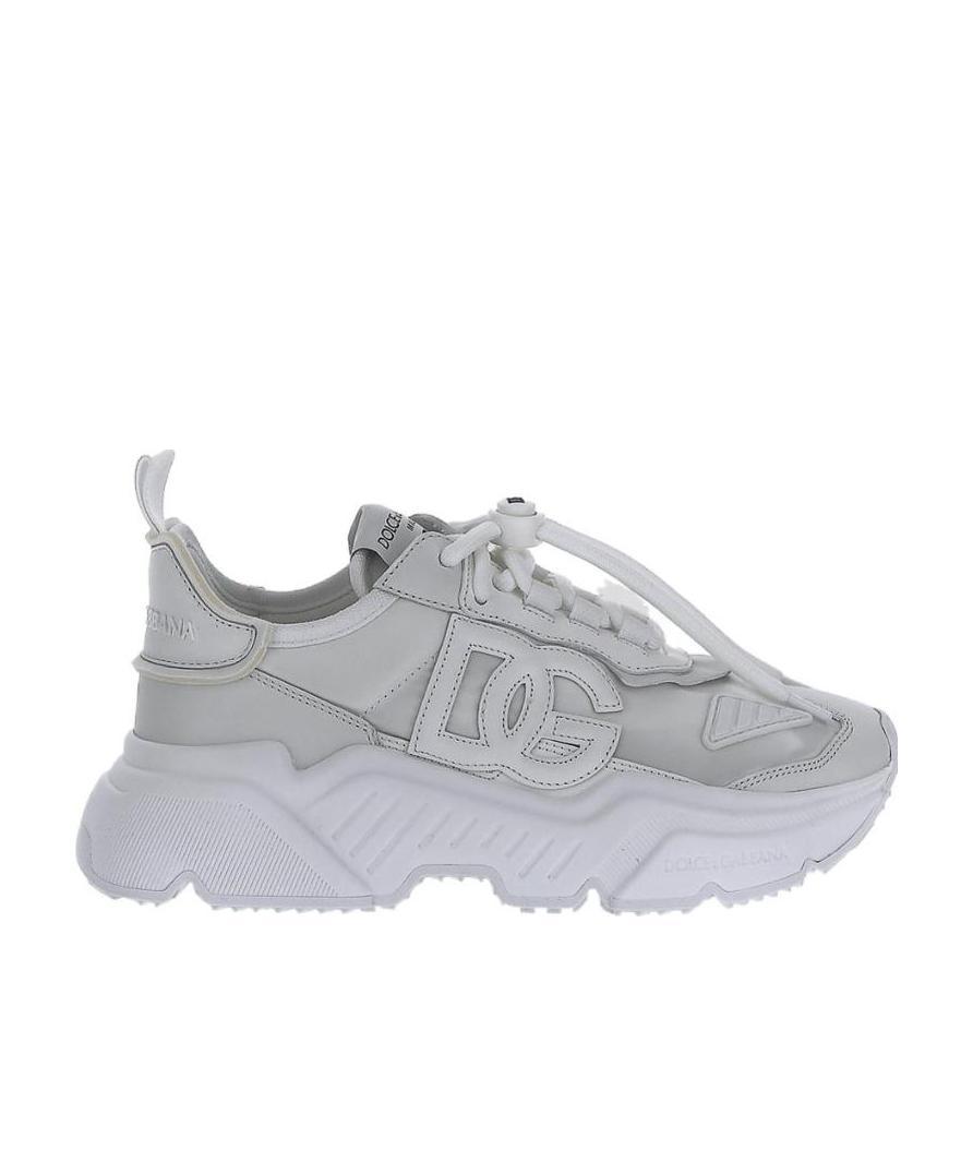 Dolce & Gabbana Dolce Gabbana Daymaster Logo-patch Sneakers In Gray