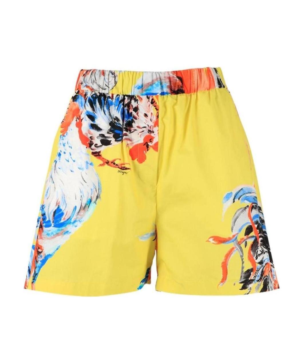 Msgm Rooster Print Shorts In Yellow