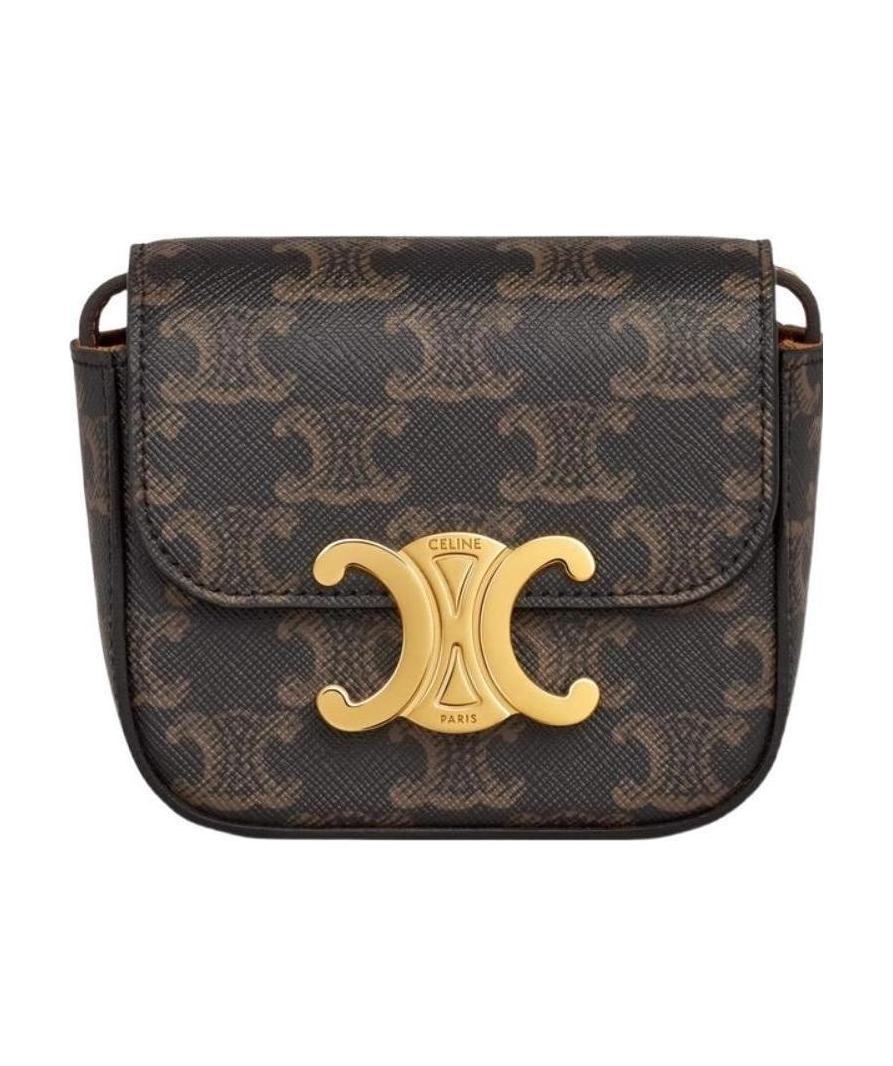 Celine Triomphe Canvas And Calfskin Mini Claude Bag In Brown