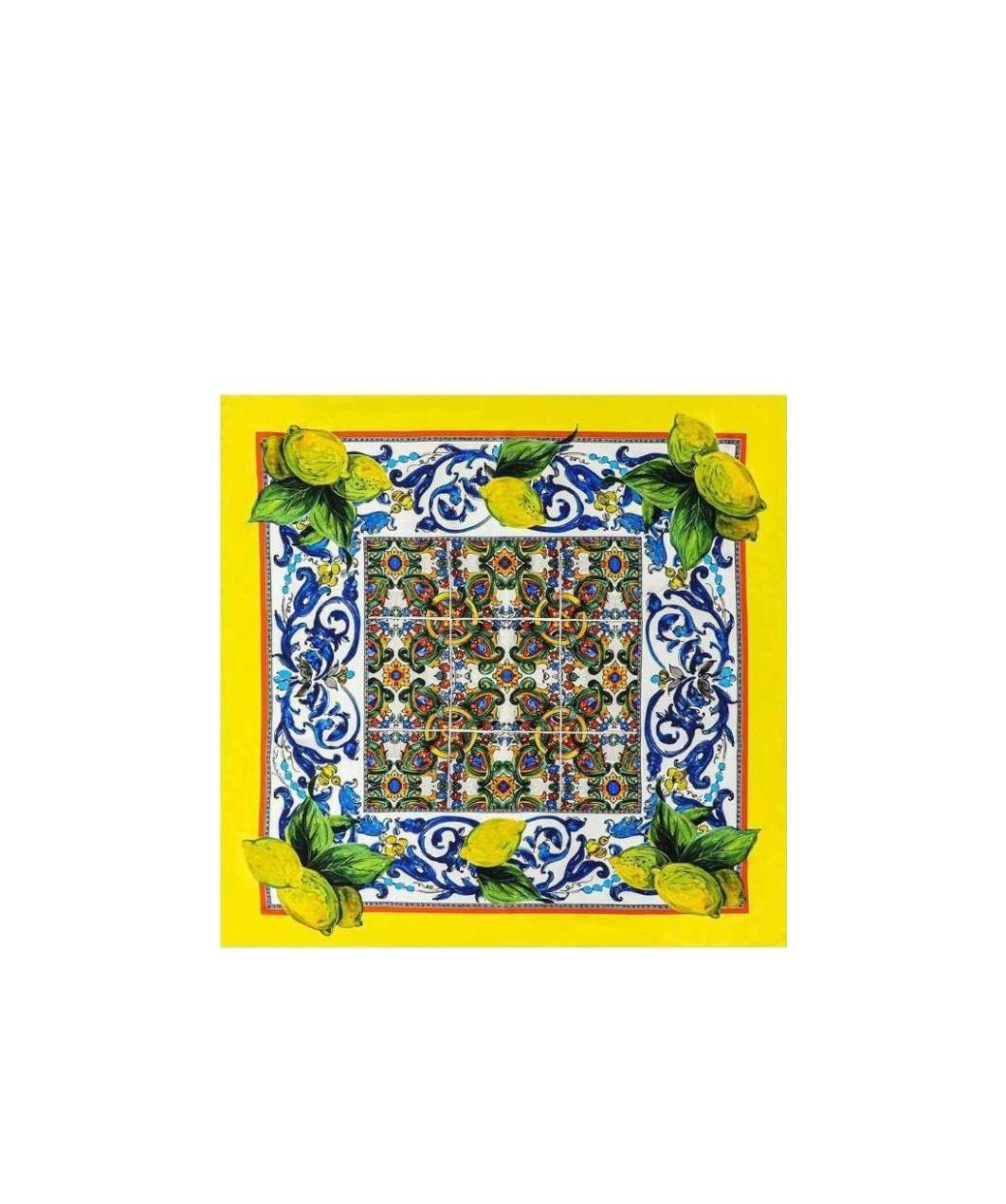 Dolce & Gabbana Printed Scarf In Multicolor