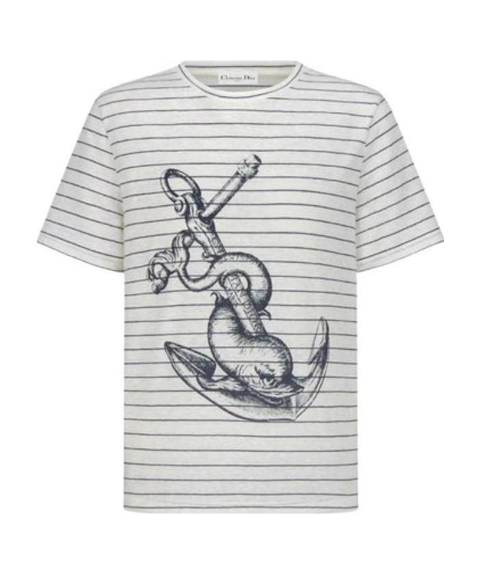 Dior Stripe Printed T-shirt In Gray