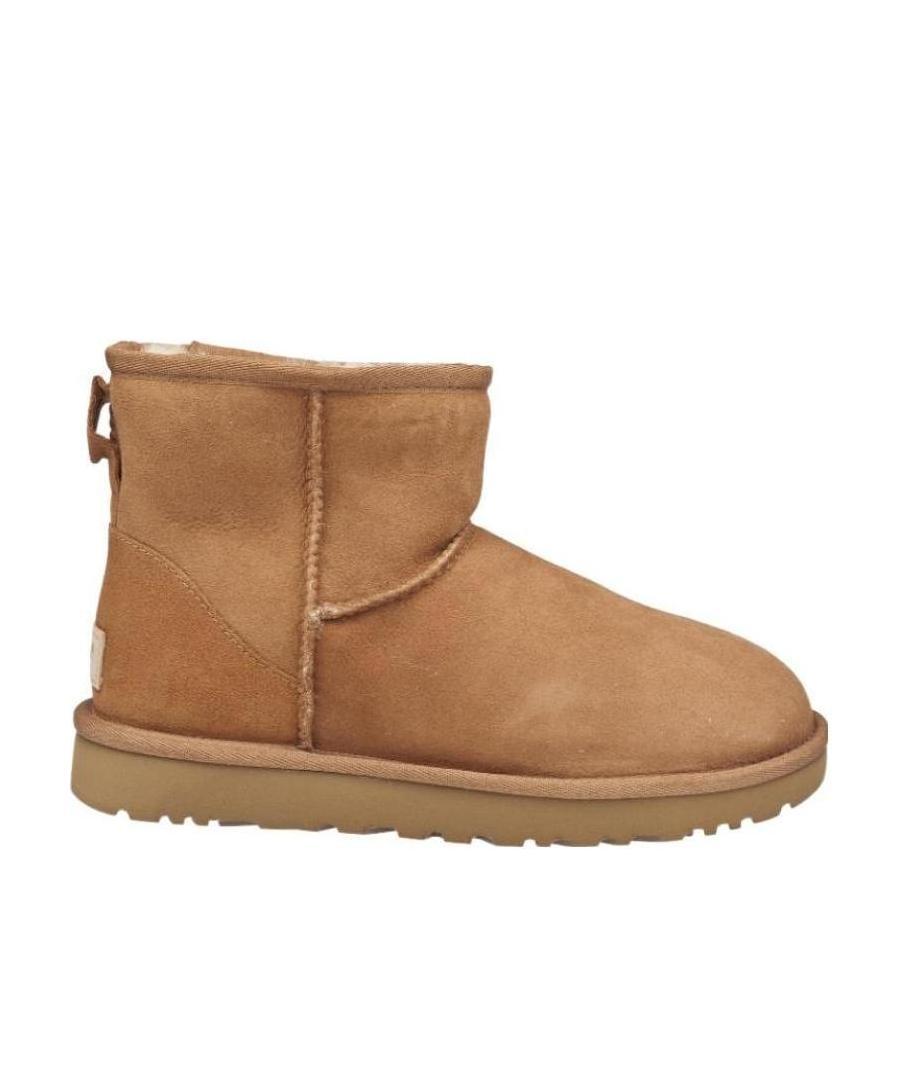 Shop Ugg Lined Ankle Boots In Brown