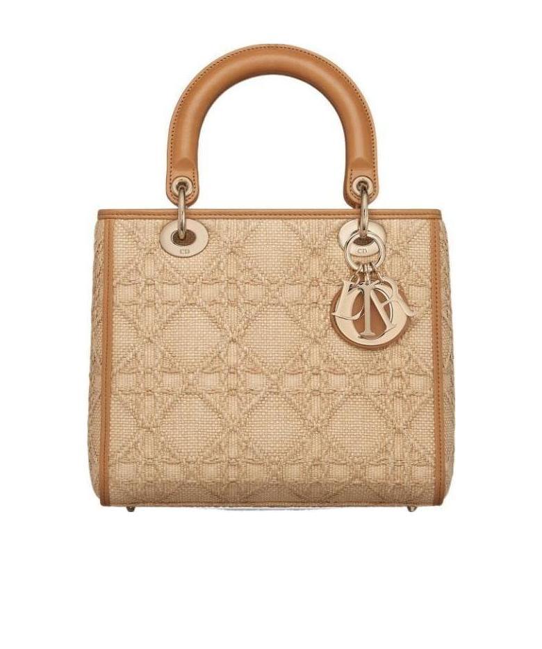 Dior Logo Handbag