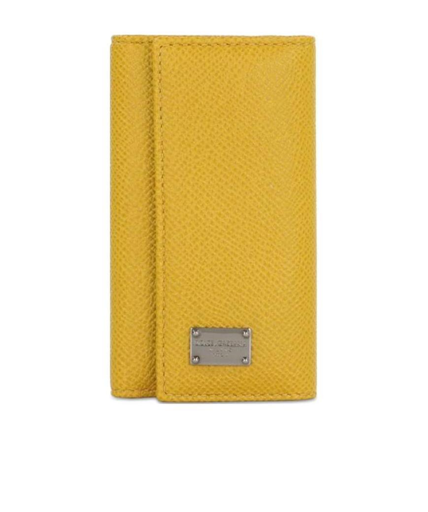 Dolce & Gabbana Logo Details Key Bag In Yellow