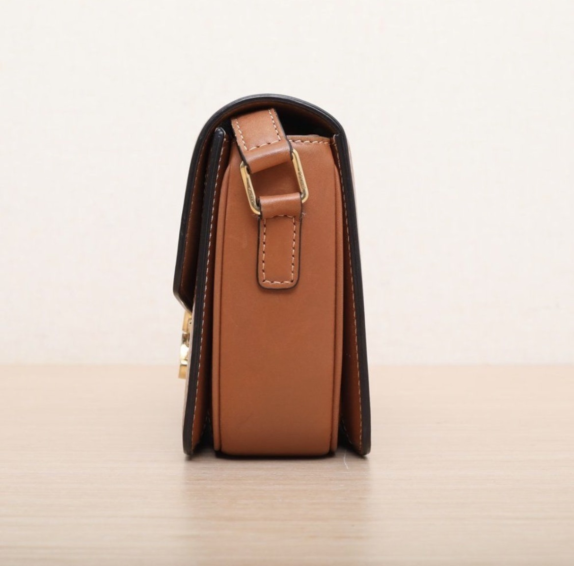 Celine Brown Triomphe Canvas Crossbody Handbag For Women In Brown